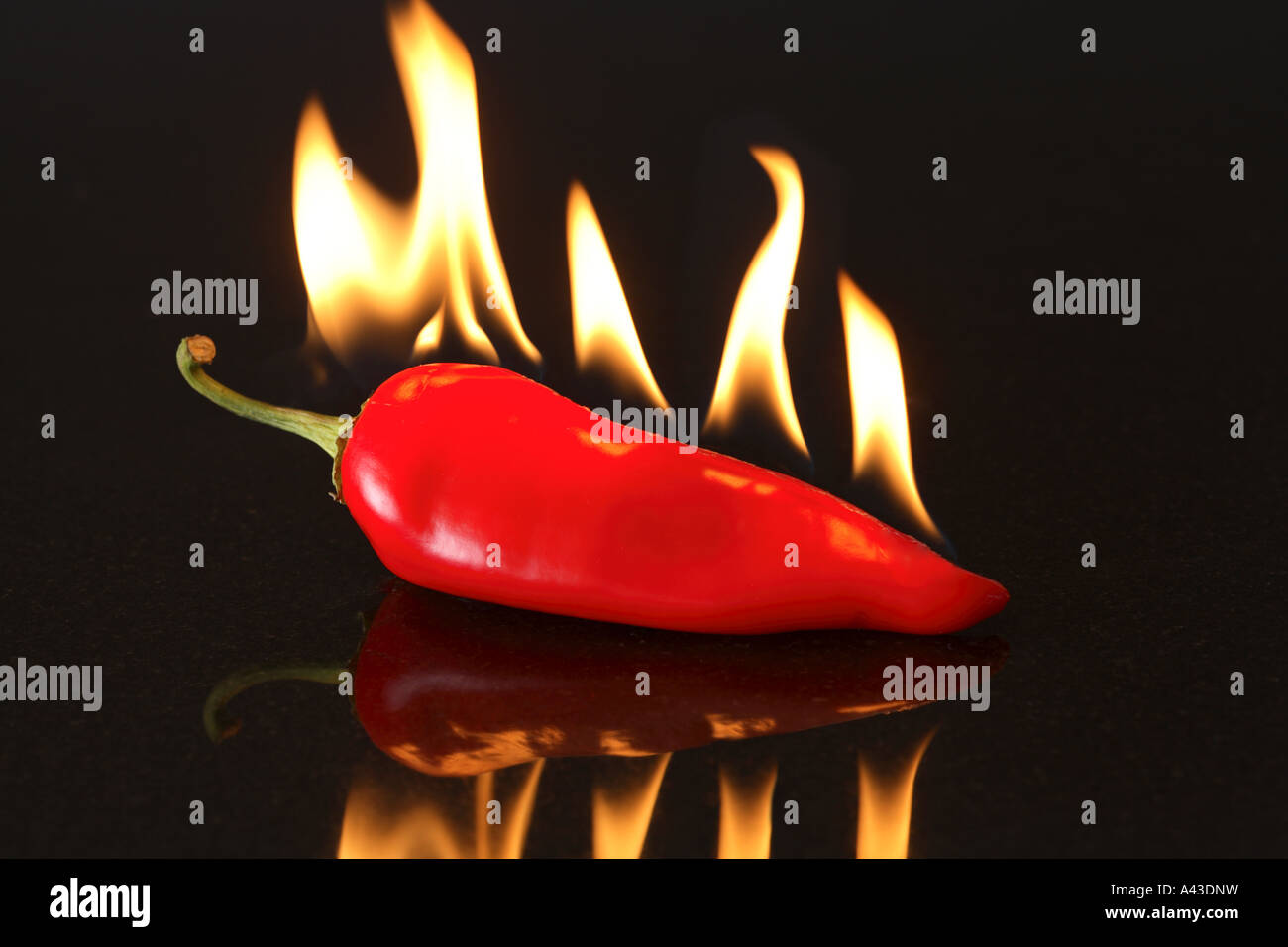 Pimienta roja picante con llamas Foto de stock