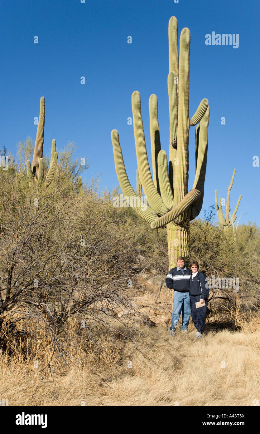 La Mujer Adulta Rubia Abraza Un Cactus Grande Del Saguaro En El Desierto De  Arizona Sonoran Imagen de archivo - Imagen de desierto, escala: 143622217