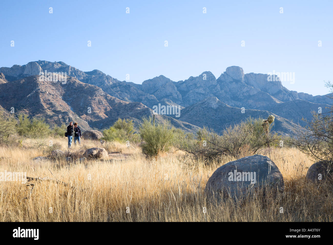 Excursión pareja adulta en open range desierto en el Parque Estatal de Catalina, cerca de Tucson, Arizona, EE.UU. Foto de stock