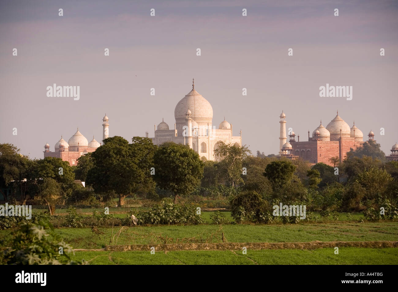 La India Uttar Pradesh Agra Taj Mahal visto desde una distancia a lo largo de los campos Foto de stock