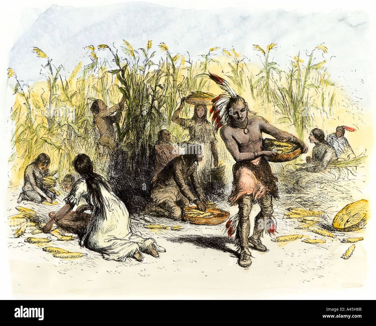 Los nativos americanos la cosecha de maíz. Xilografía coloreada a mano Foto de stock