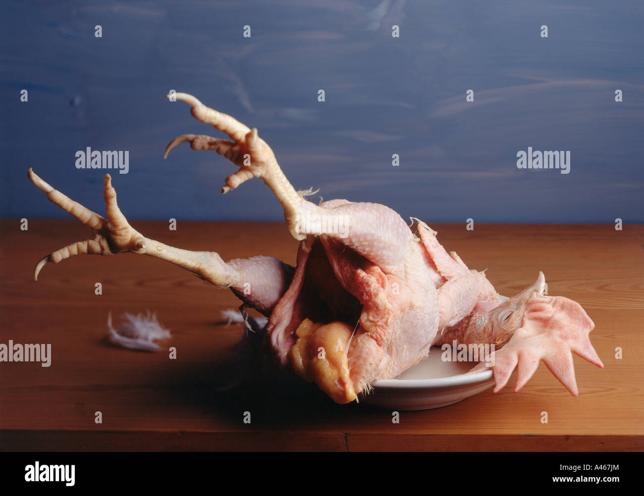 Un Pollo Desplumado Fotografia De Stock Alamy