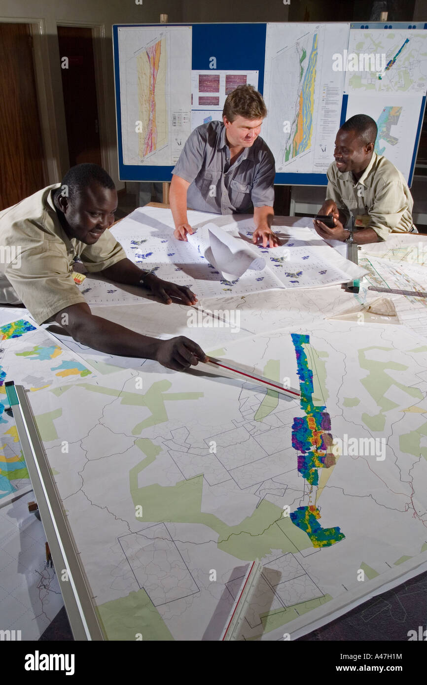 Los geólogos examinando mapas y discutir los objetivos de exploración, departamento de geología, minas de oro, Ghana, África W Foto de stock