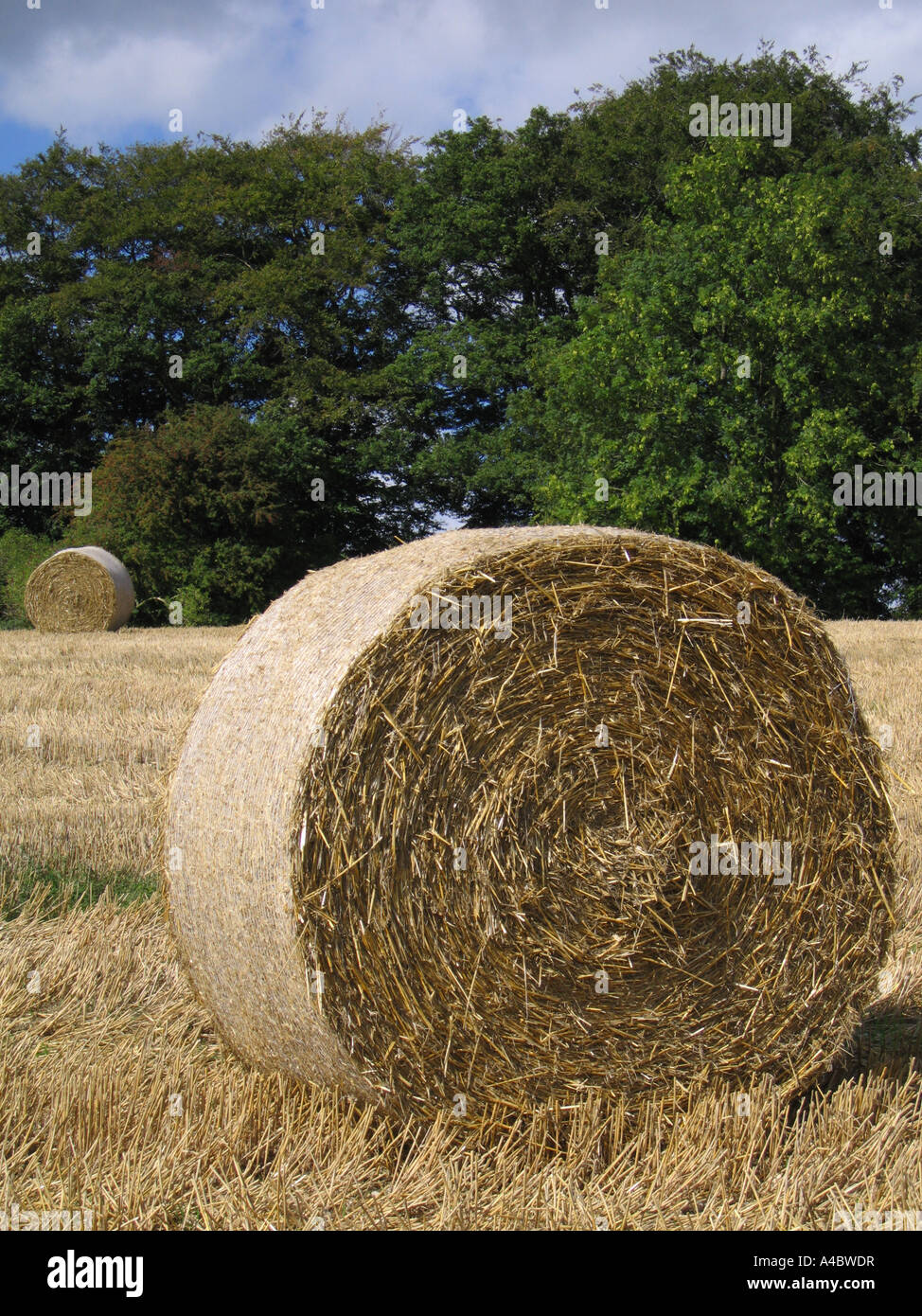 Los fardos de heno Berry s Green Kent UK Foto de stock