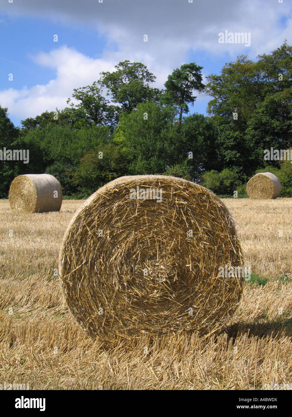 Los fardos de heno Berry s Green Kent UK Foto de stock