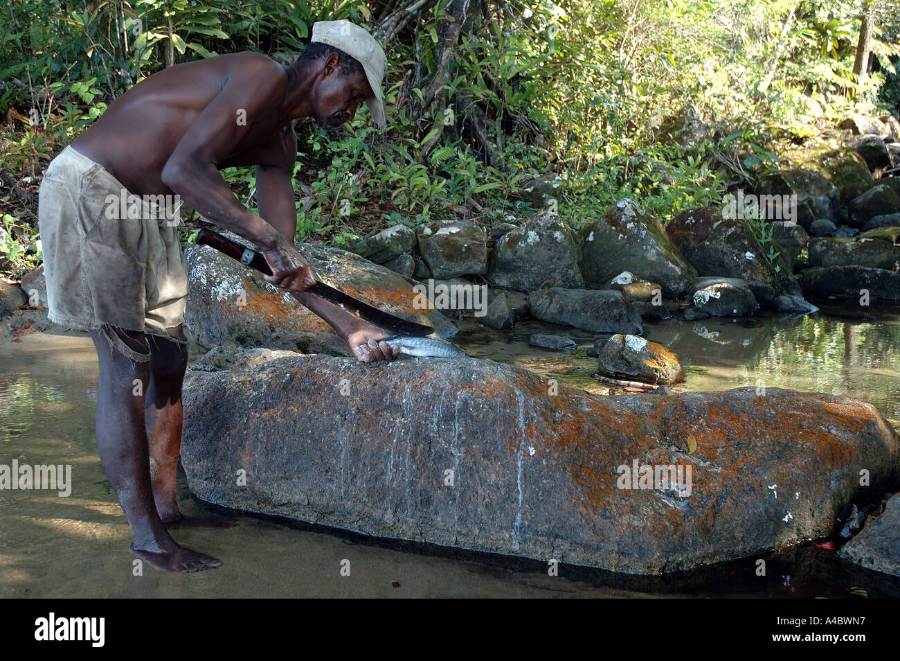 Los pescadores locales con un machete a destripar su captura península de Masoala Madagascar No señor Foto de stock