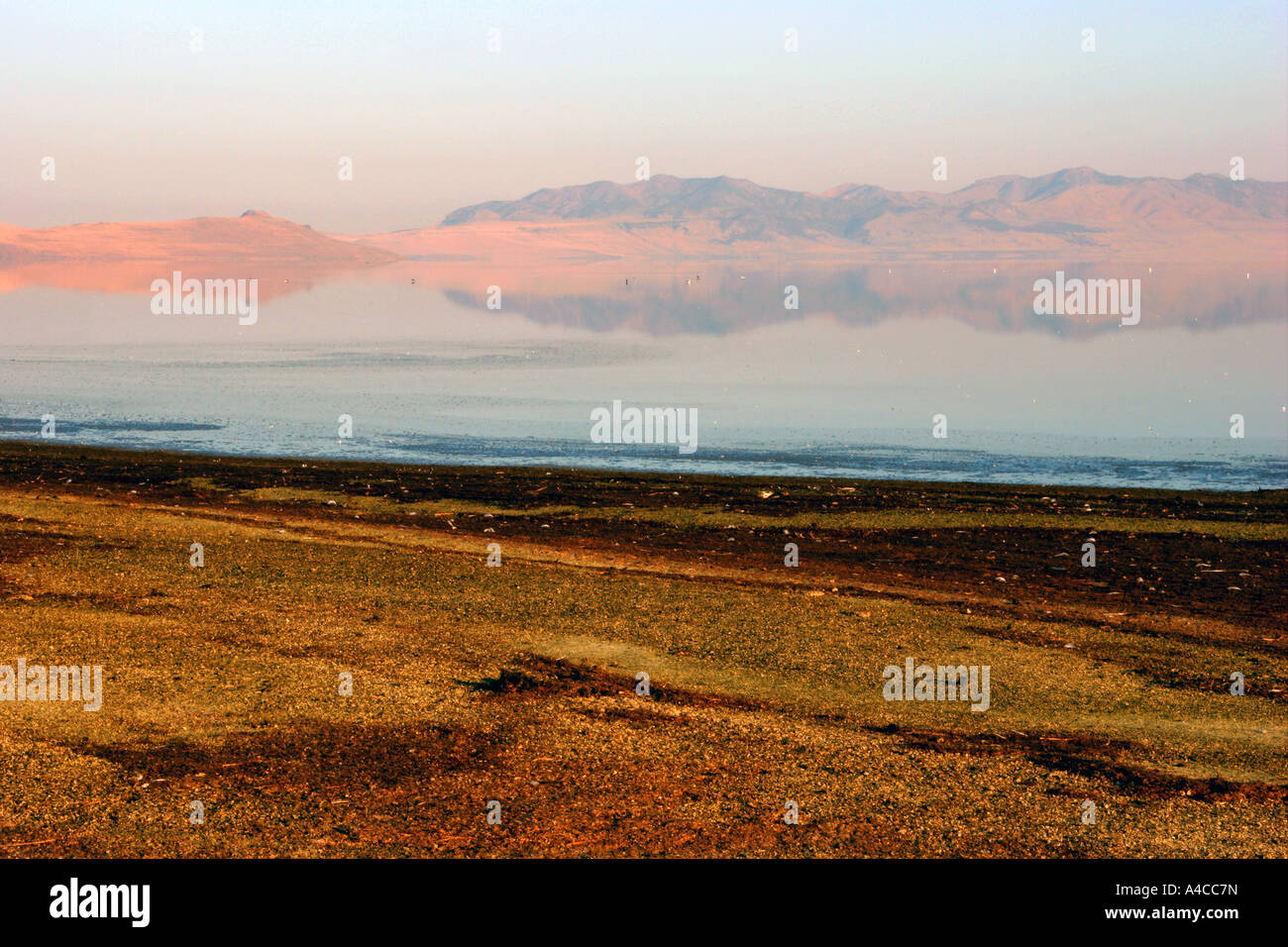 Great Salt Lake sunrise, Utah Foto de stock