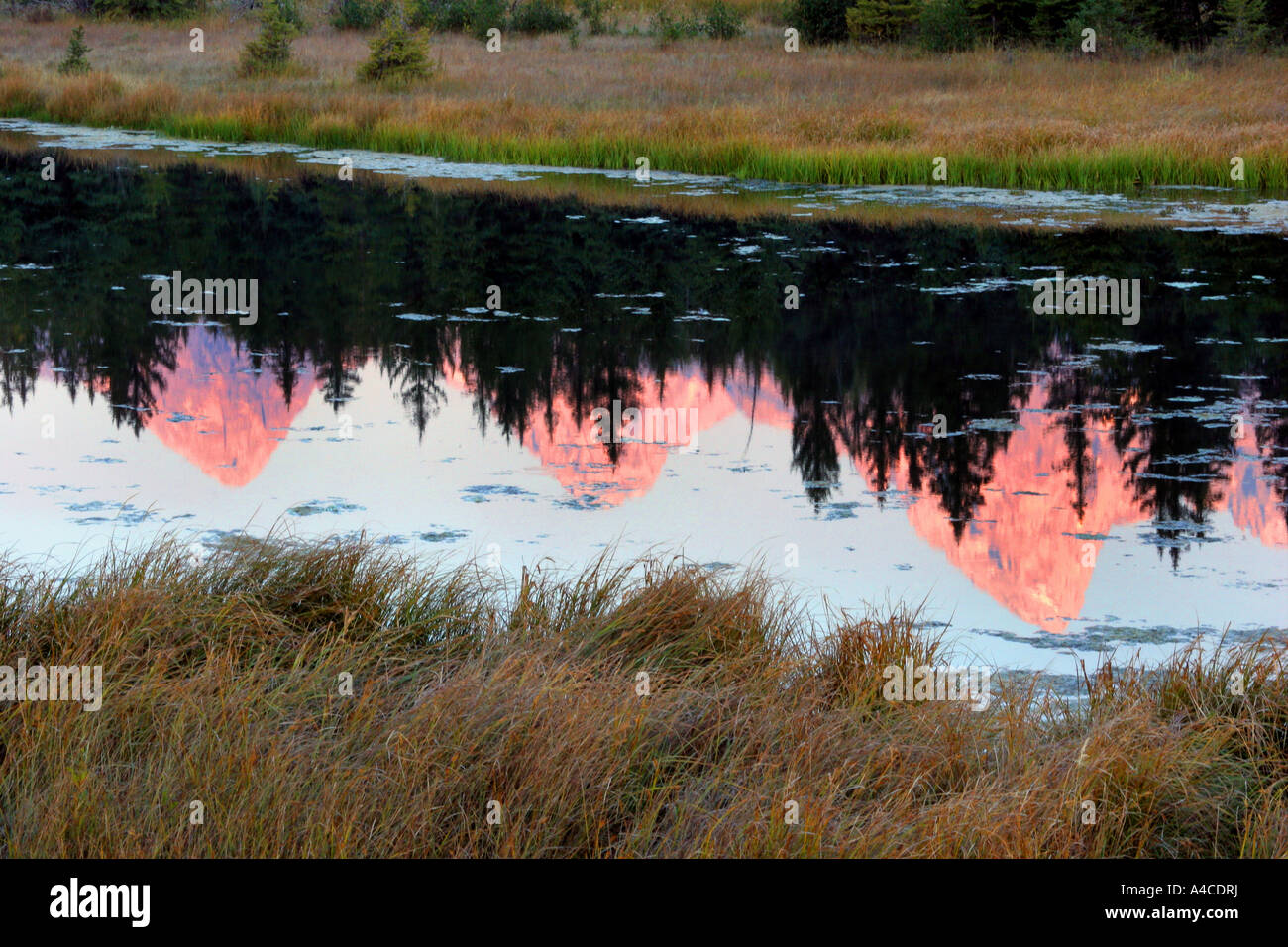 Amanecer reflexión sobre el Grand Tetons Foto de stock