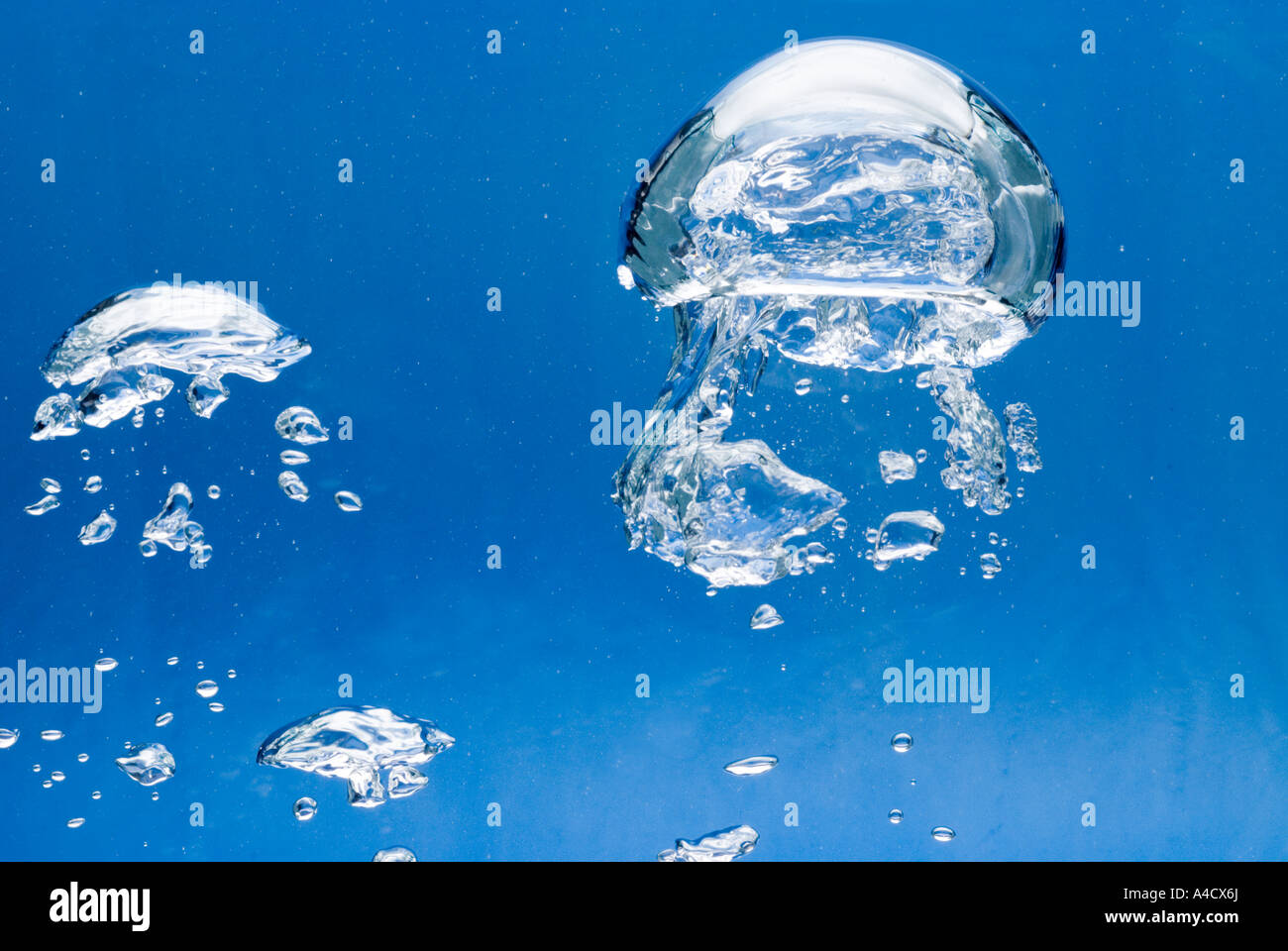 Una gran burbuja de aire brillante y un montón de pequeños antes de fondo azul sube a la superficie del agua Foto de stock