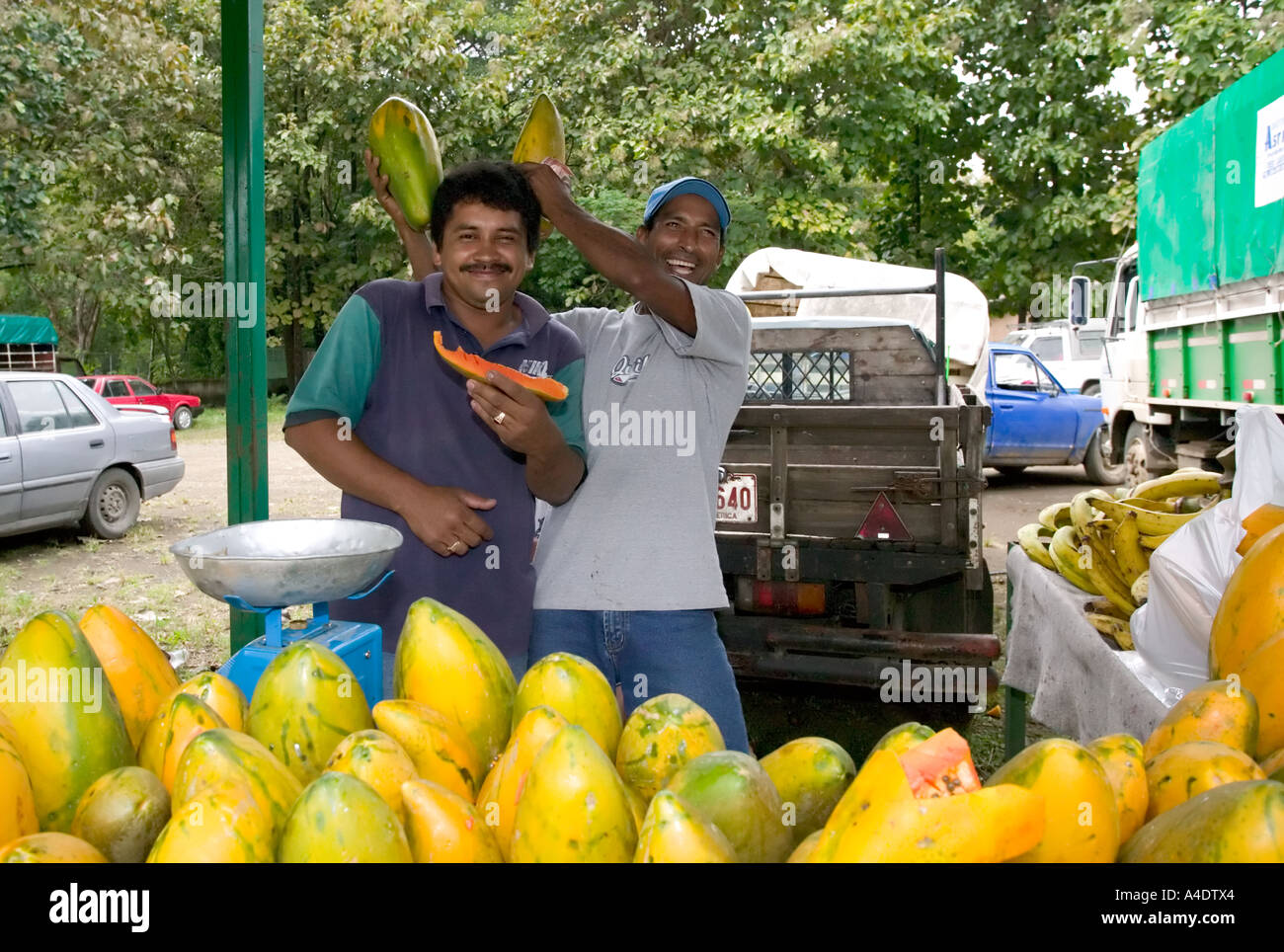 Papaya vendedores al mercado de frutas y verduras en las afueras del