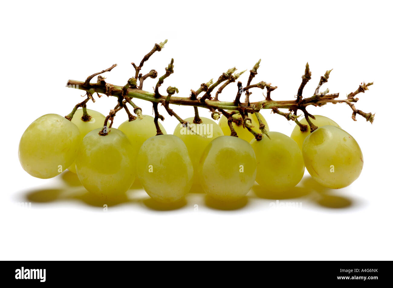 La mitad comido racimo de uvas Foto de stock