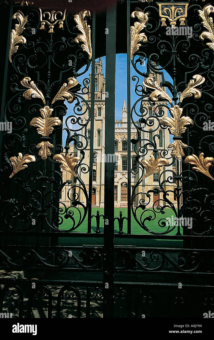 Mirando a través de puertas de hierro forjado hacia All Souls College, Oxford Foto de stock