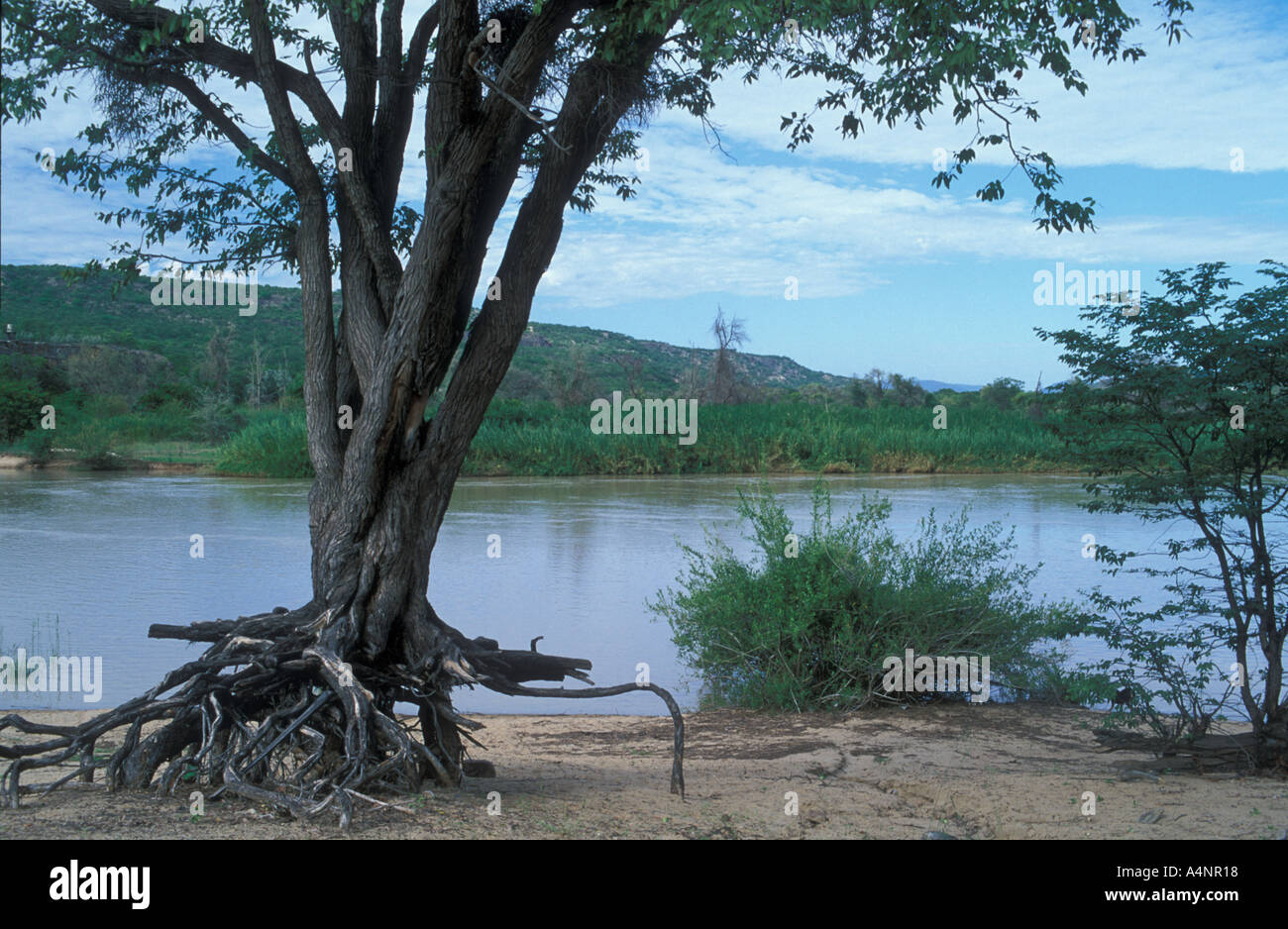 El río Kunene, en Hipona, piscina debajo de Ruacana cae frontera con Angola África amibia Foto de stock
