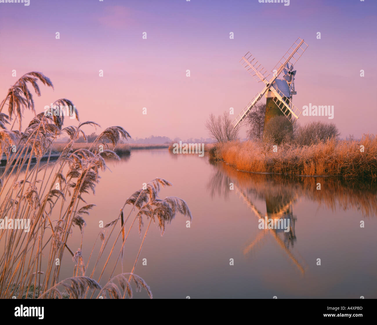 Rotura del amanecer de invierno sobre el río Bure en cómo Hill Reserva Natural en Norfolk Broads Inglaterra Foto de stock