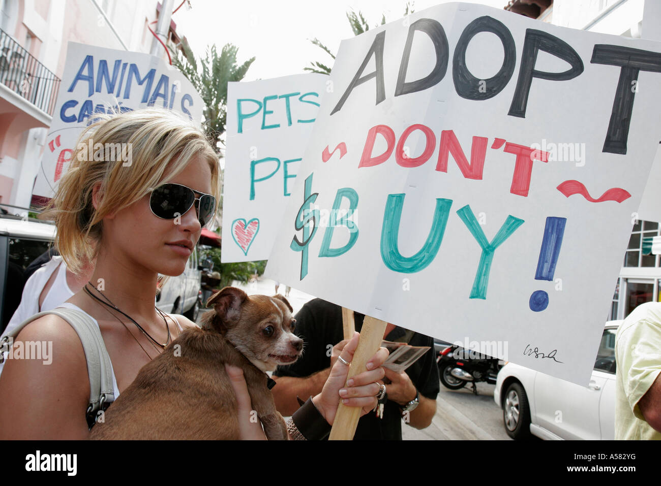 Miami Beach Florida, Espanola Way, protesta pública, perros calientes  cachorros mascota tienda de mascotas venta, perros enfermos malsanos,  carteles, eslóganes, derechos de los animales, si Fotografía de stock -  Alamy