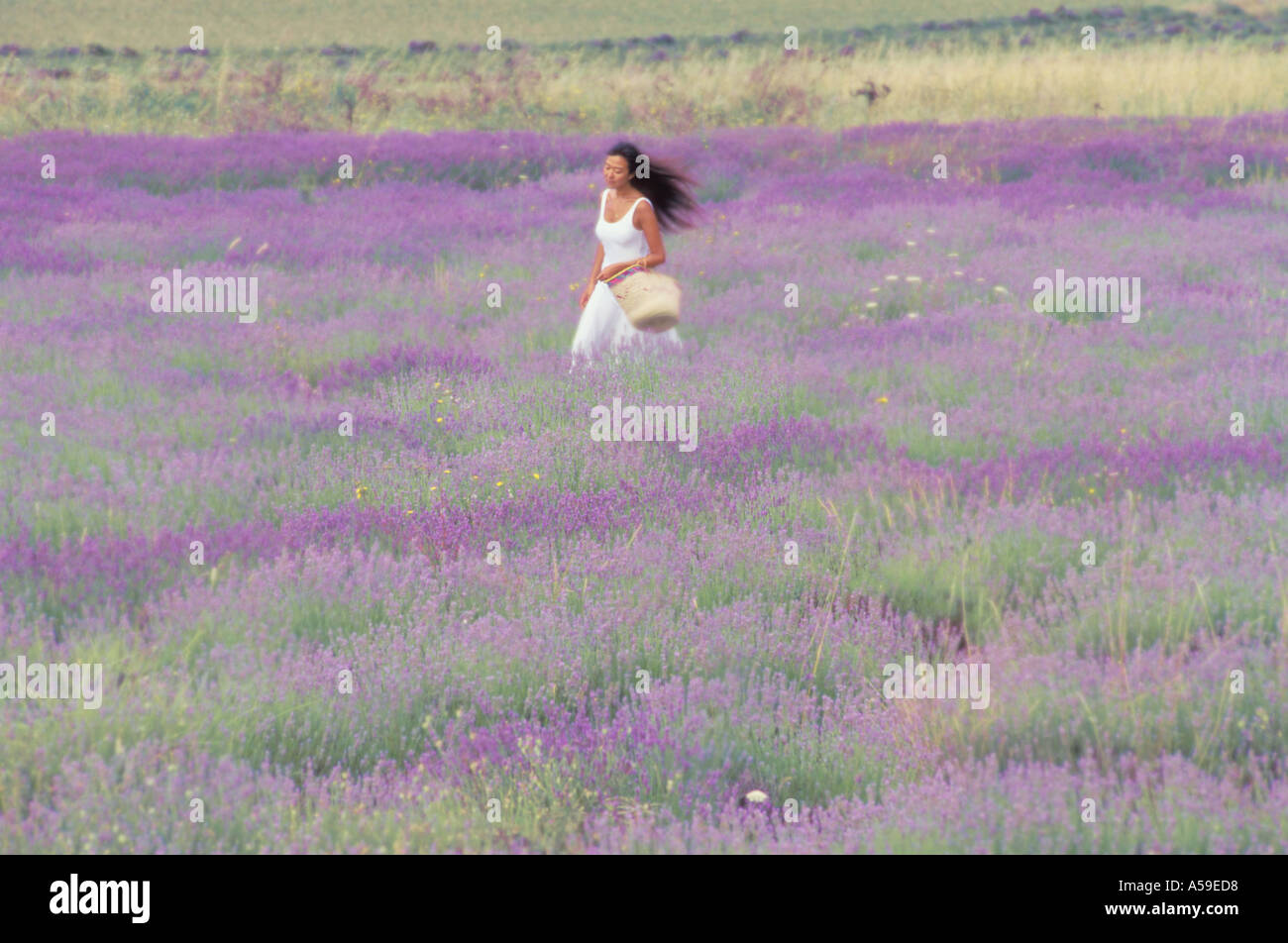 Mujer en vestido blanco moviéndose a través del campo de lavanda en Provenza Foto de stock