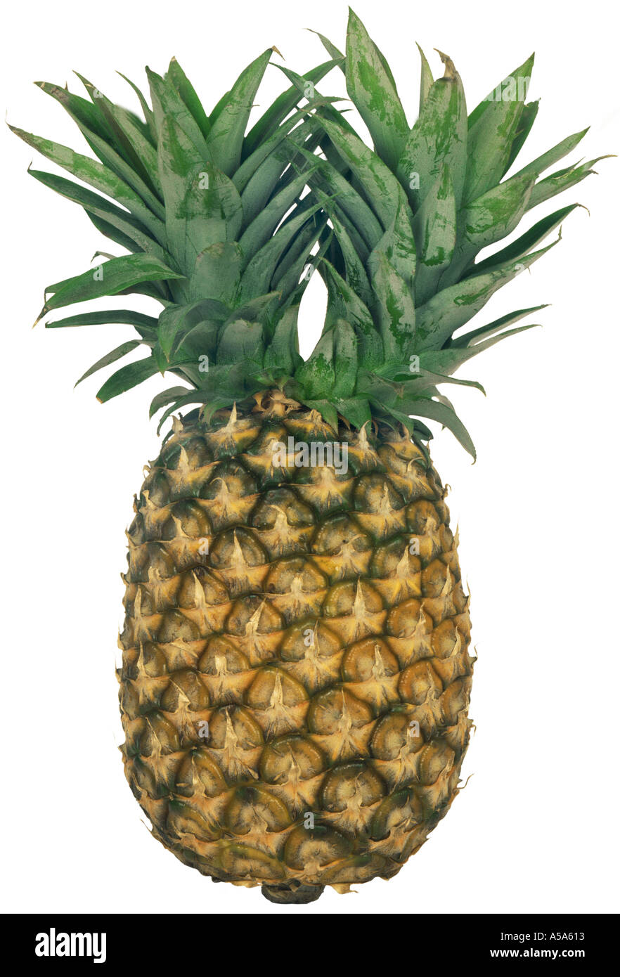 Fruta Tropical ananas recorte recorte Foto de stock