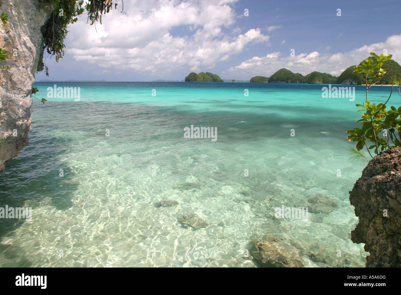 Palau Micronesia Foto de stock