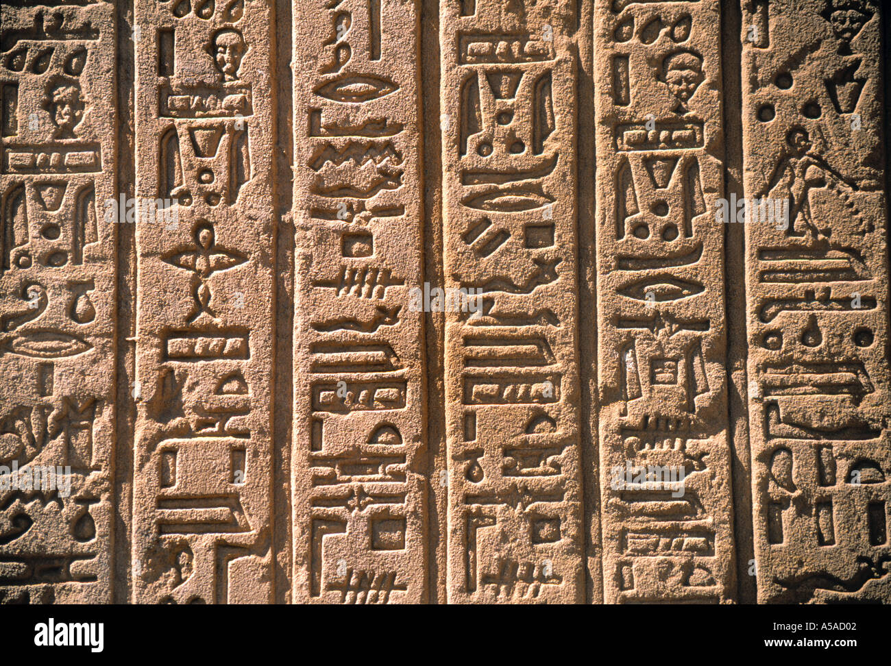 Los jeroglíficos, Templo de Dendera, Qena, Egipto Foto de stock