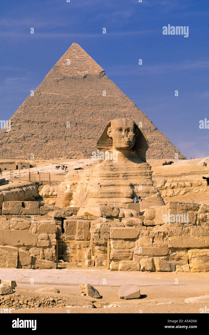 Las pirámides de Giza y La Esfinge, El Cairo, Egipto Foto de stock