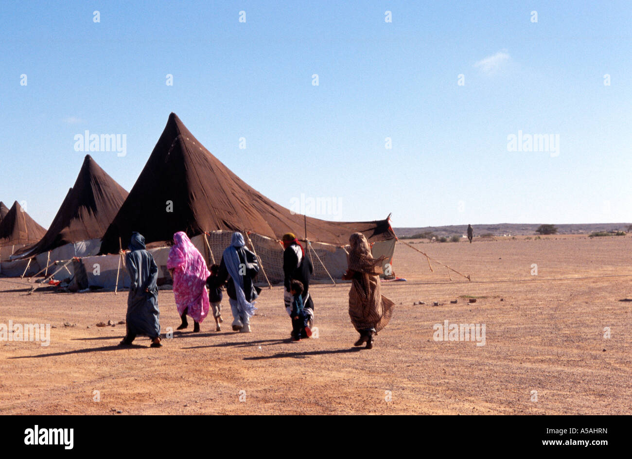yogur Sahara Tindouf, campamentos