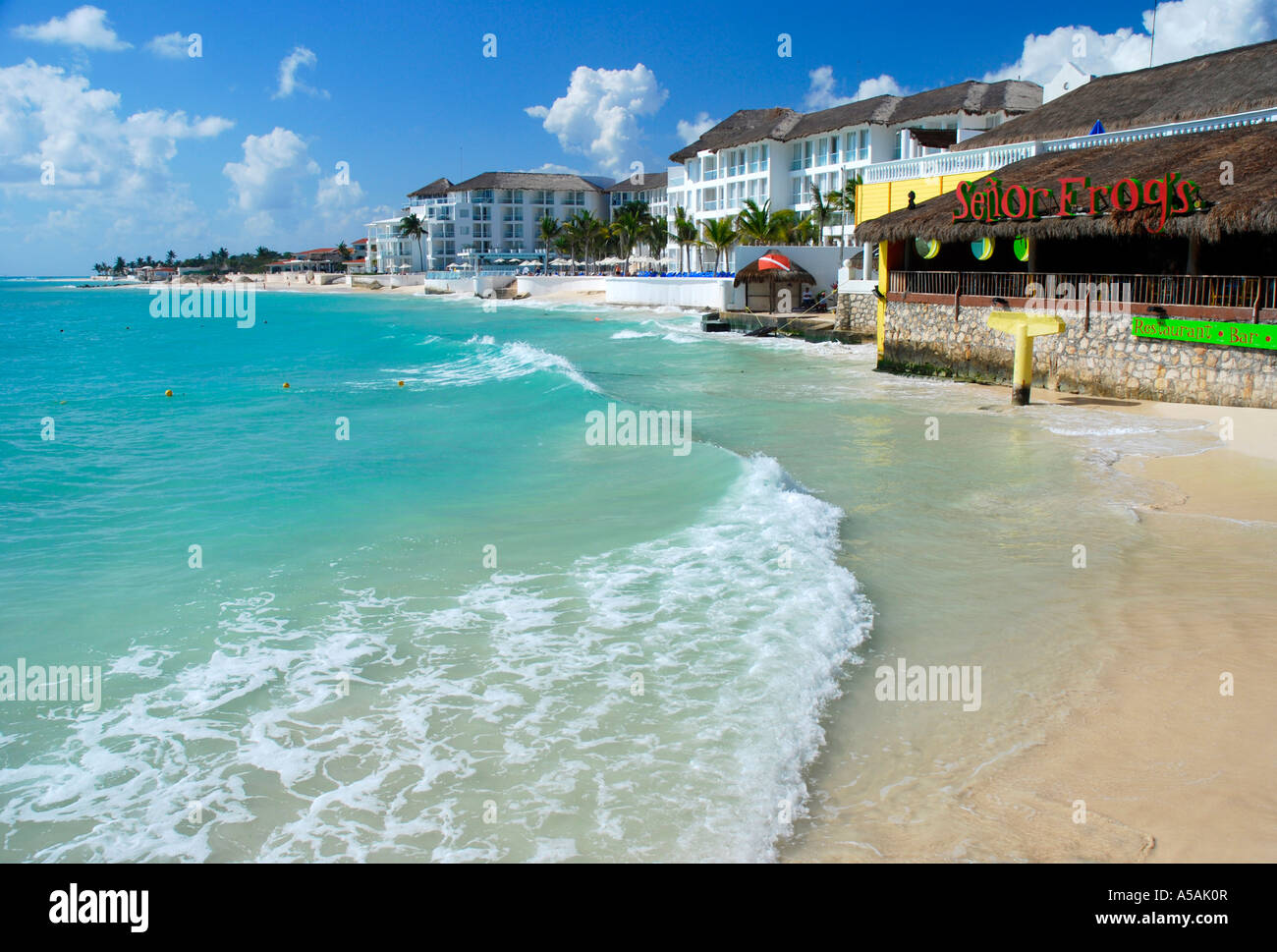Señor Frog's bar y restaurante de Playa del Carmen, México, sur de el