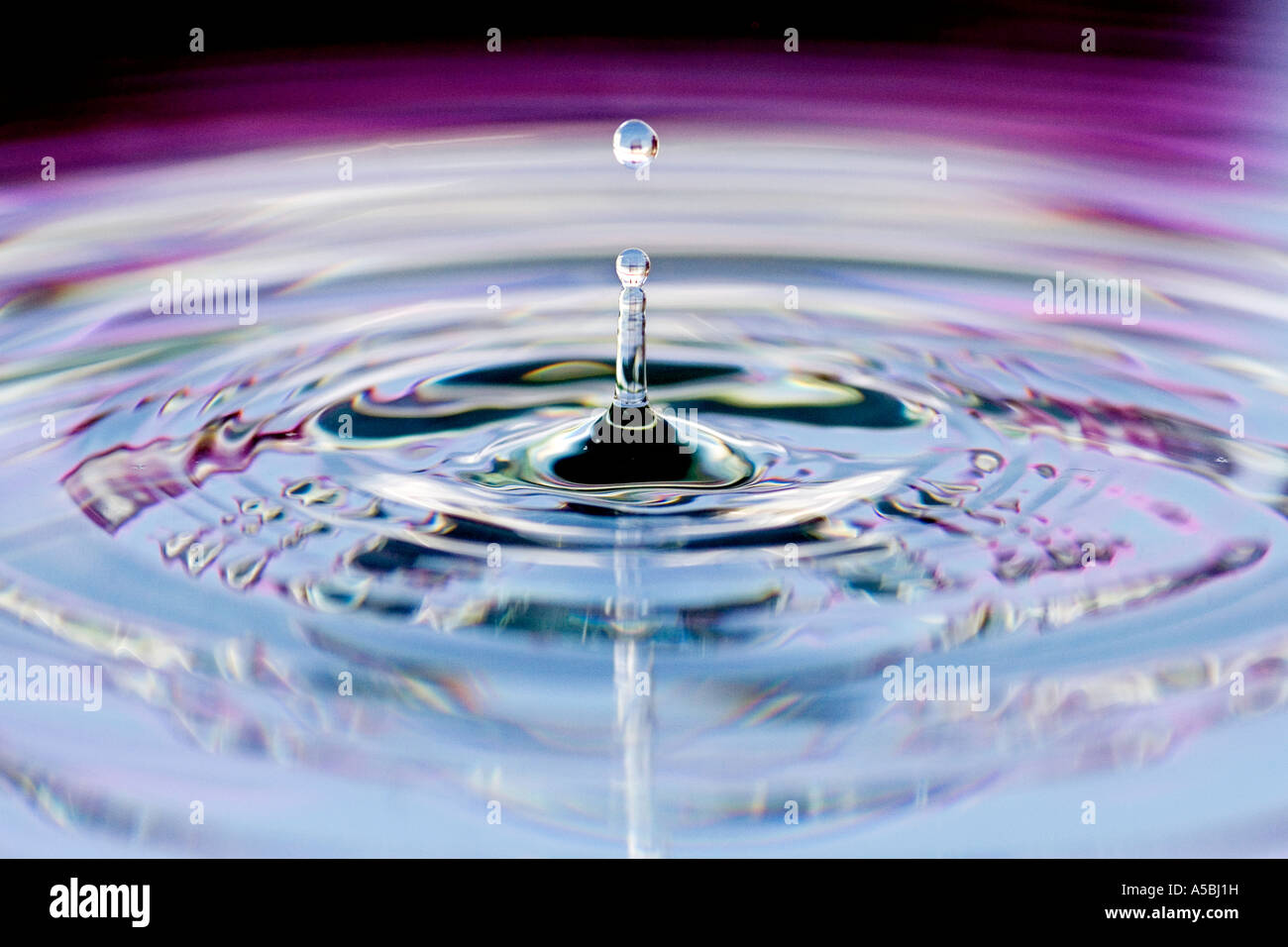 Gota de agua coloreada y rizado. El agua en una placa de espejo refleja con fondo de color. Foto de stock