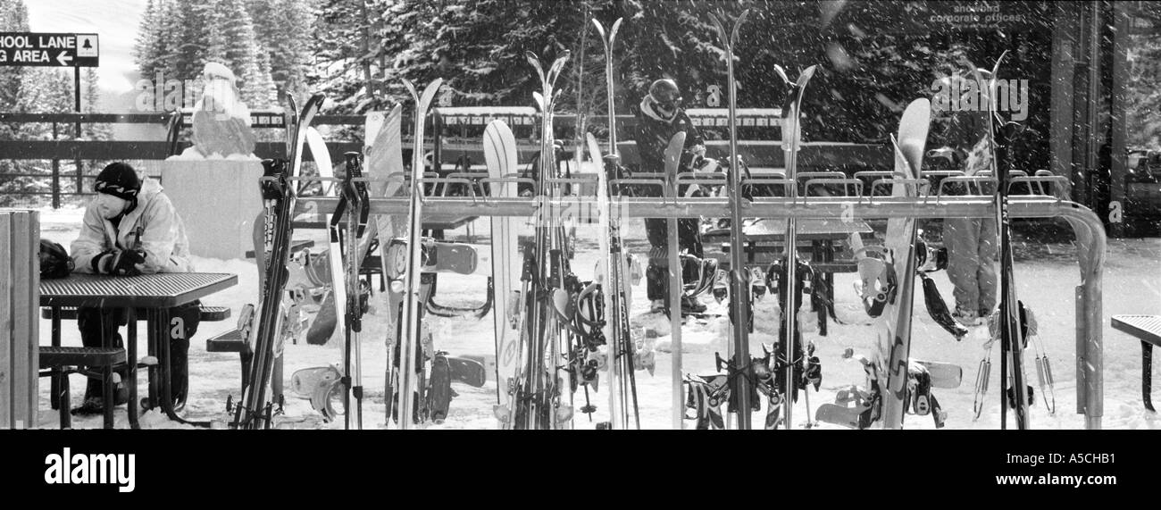Una panorámica horizontal en blanco y negro de la imagen de una fila de esquís y snowboards en Snowbird plaza con un esquiador Foto de stock