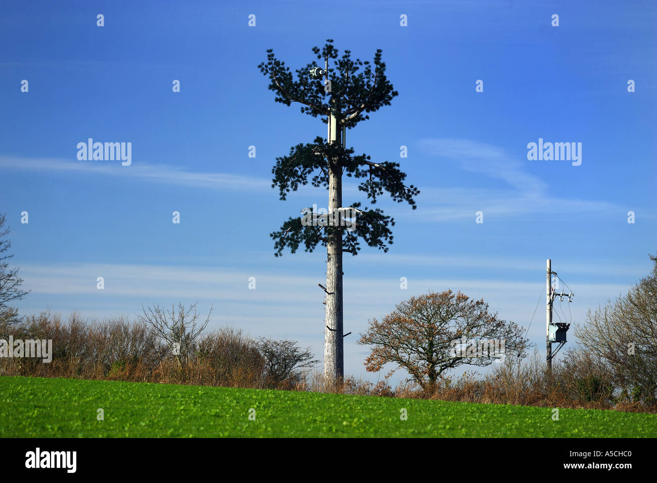 Mástil móvil mal disfrazada como un árbol cerca de Torbay, Devon, Inglaterra Foto de stock