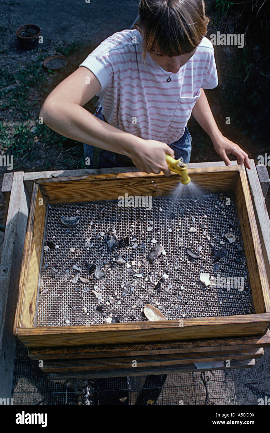 Estudiante de cribado arqueólogo artefactos en una excavación arqueológica Foto de stock