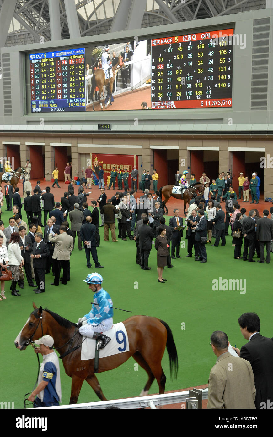 Una pantalla digital muestra los resultados de las carreras de caballos y  un vídeo en flujo de los salones de los caballos de carreras que se enfrían  en el hipódromo de Sha