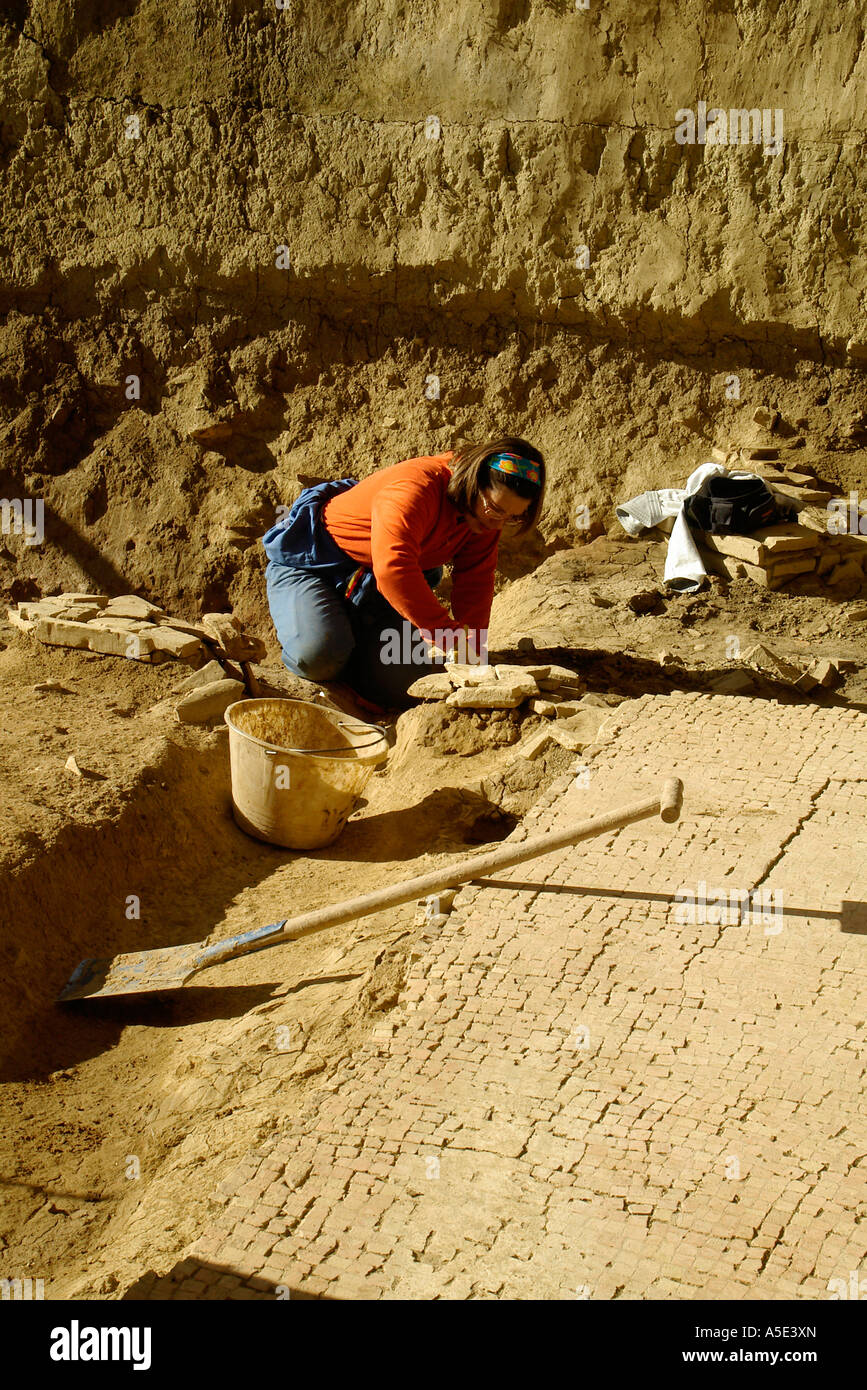 Una mujer italiana arqueólogo trabajando en la excavación en el delta del río Po, cerca de Cesena, Emilia-Romaña, Italia Foto de stock