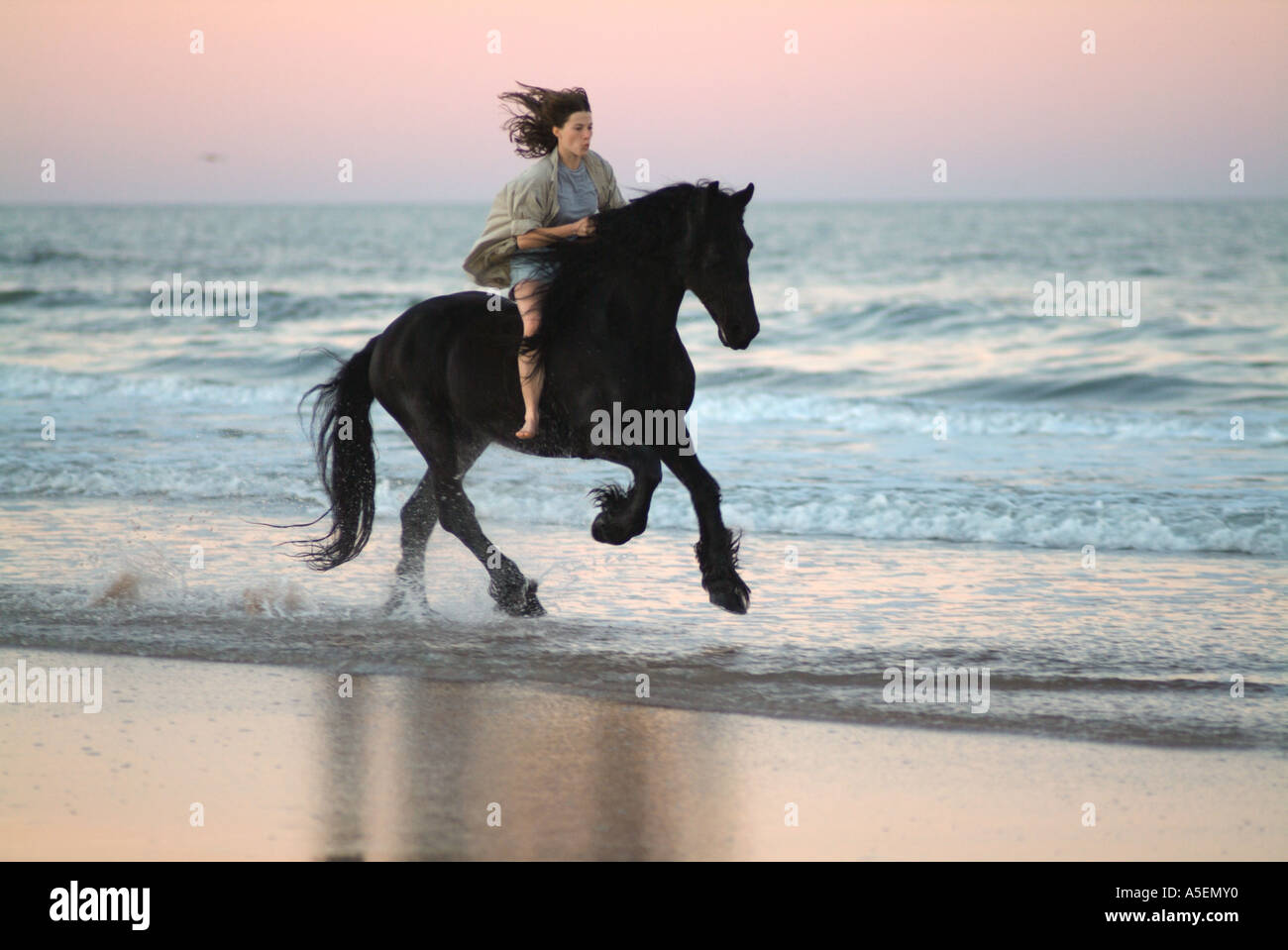 Mujer caballo semental frisón espalda desnuda y frenar al menos en la playa  al anochecer Fotografía de stock - Alamy
