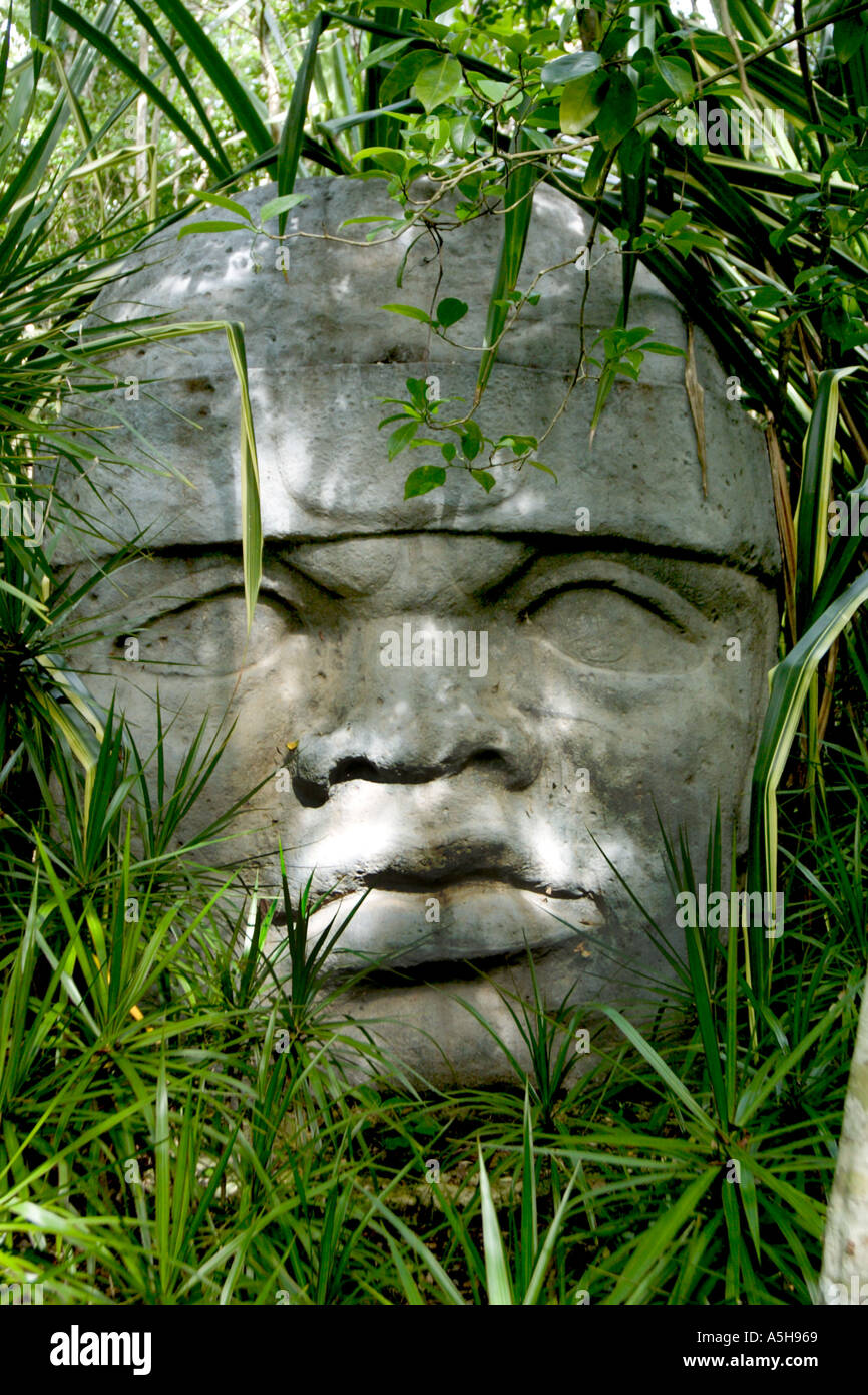 Tallado en la roca de la máscara en el Parque Chankanaab en Cozumel México  Fotografía de stock - Alamy