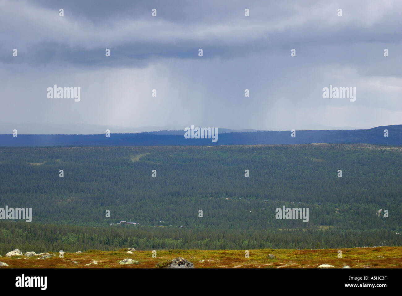 La lluvia en las montañas suecas Foto de stock