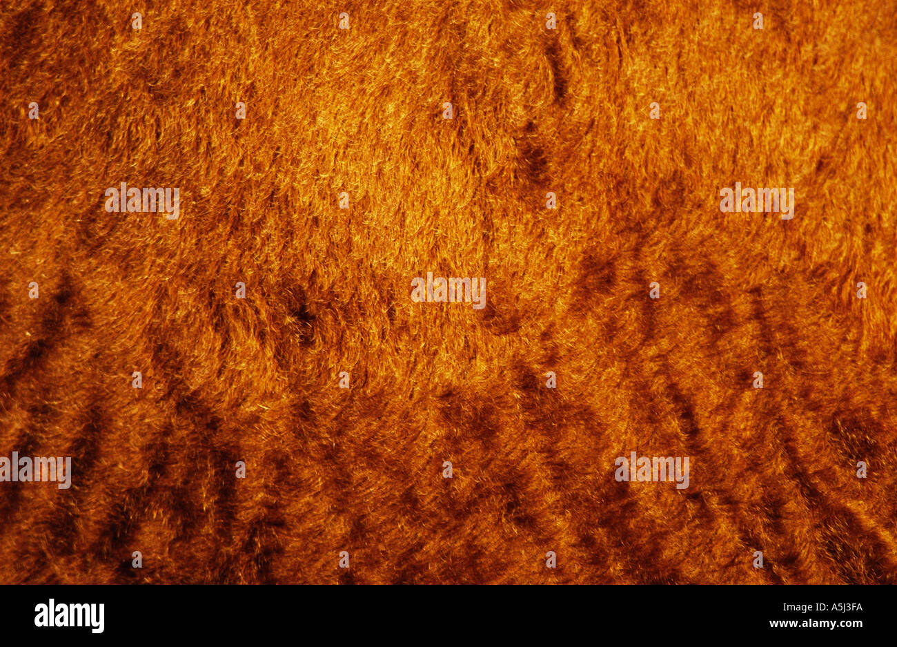 La textura de la piel de vaca Fotografía de stock Alamy