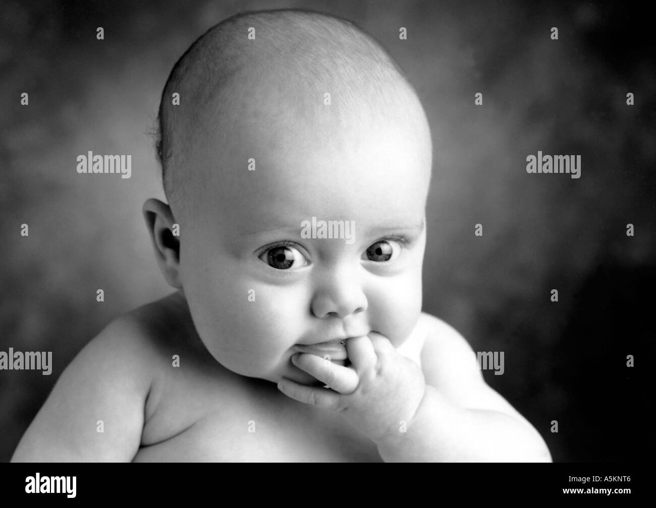 Bebe Timido Imagenes De Stock En Blanco Y Negro Alamy