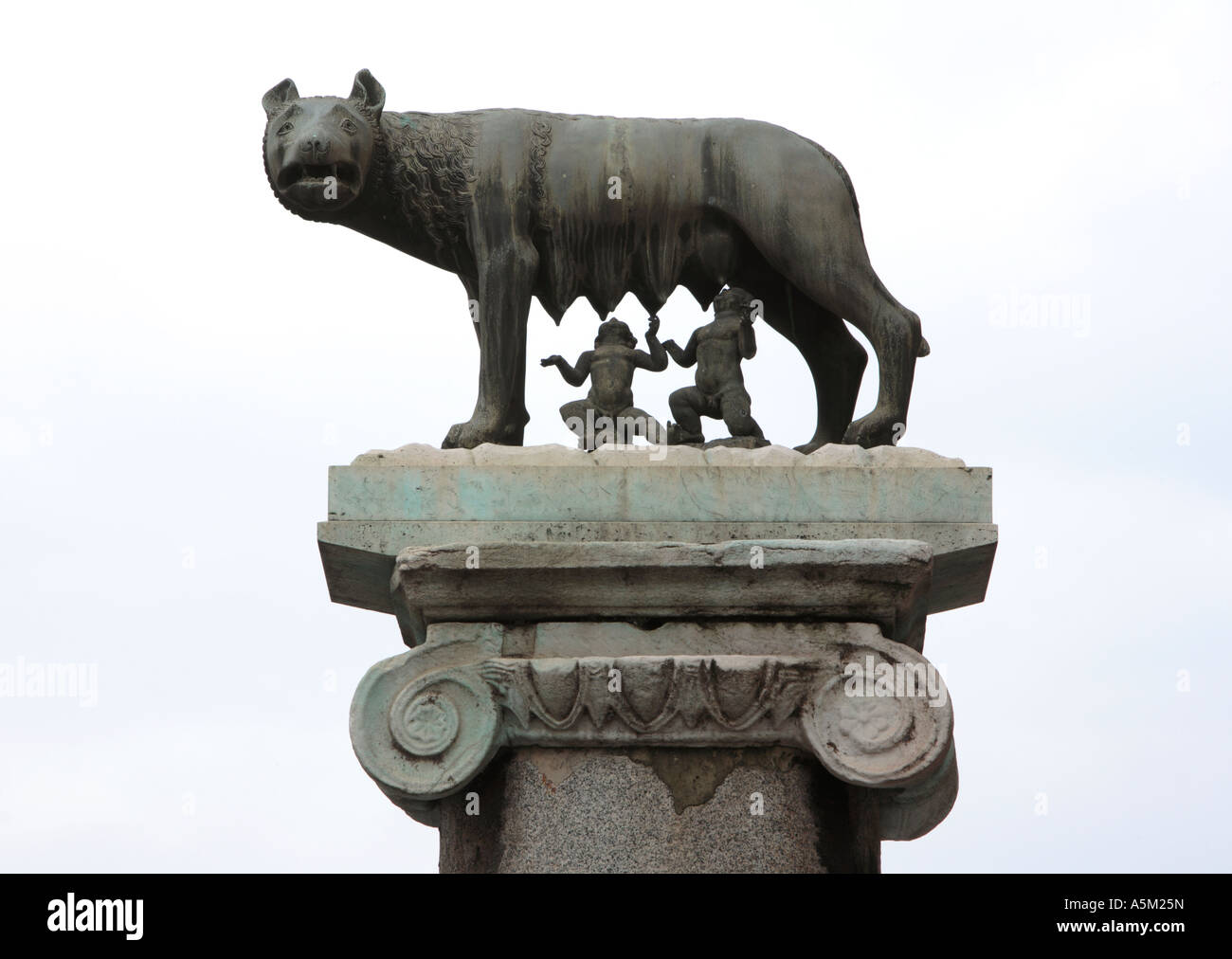 Copia de piedra del lobo etrusco estatua Foto de stock