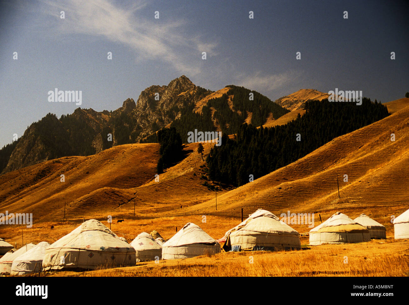 Yurts kazaja en el álamo blanco valle en las montañas Tian Shan al norte de Urumqi, Xinjiang, China Foto de stock