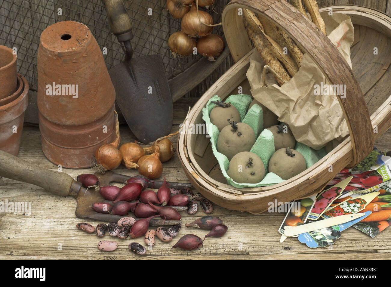 Potting Shed rústico bodegón con herramientas de jardín conjuntos de Cebollas Chalotes habichuela y semilla de papa Foto de stock