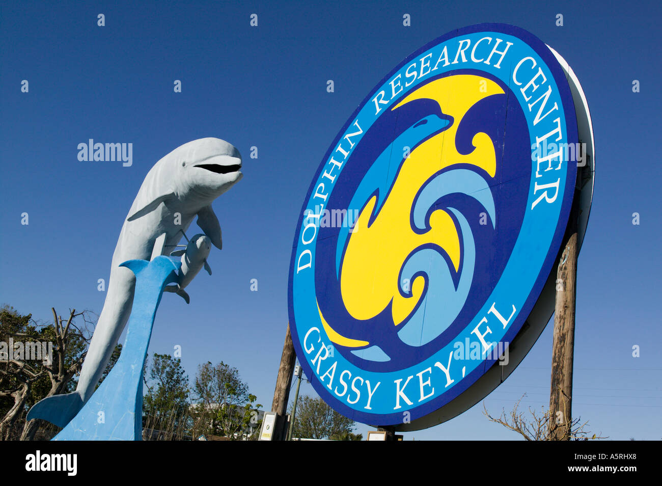 Centro de Investigación de delfines Grassy Key Florida Foto de stock
