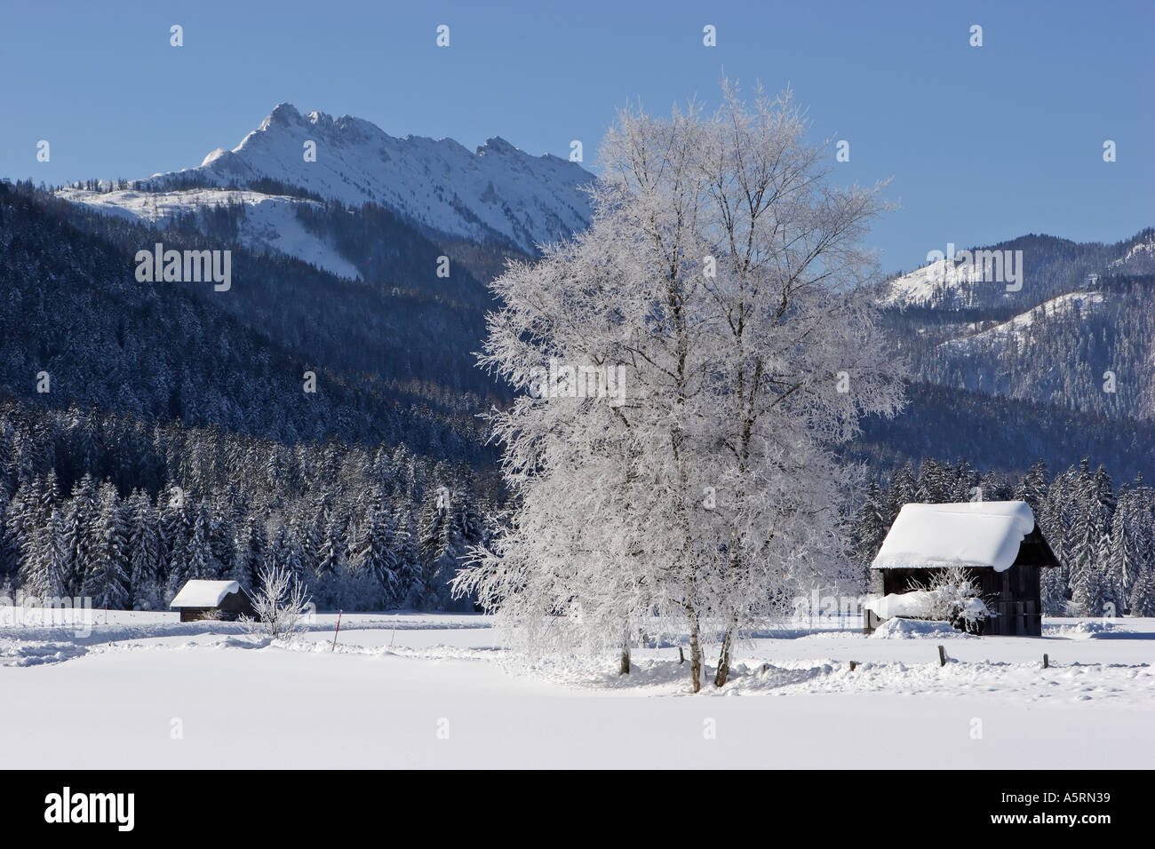 Cabañas de madera profundamente cubierto con nieve cerca krungl estiria austria Foto de stock