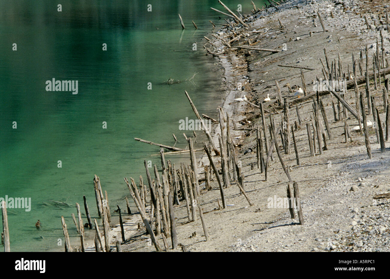 Restos de aldea neolítica construida sobre pilotes en el lago de Ledro Italia Foto de stock