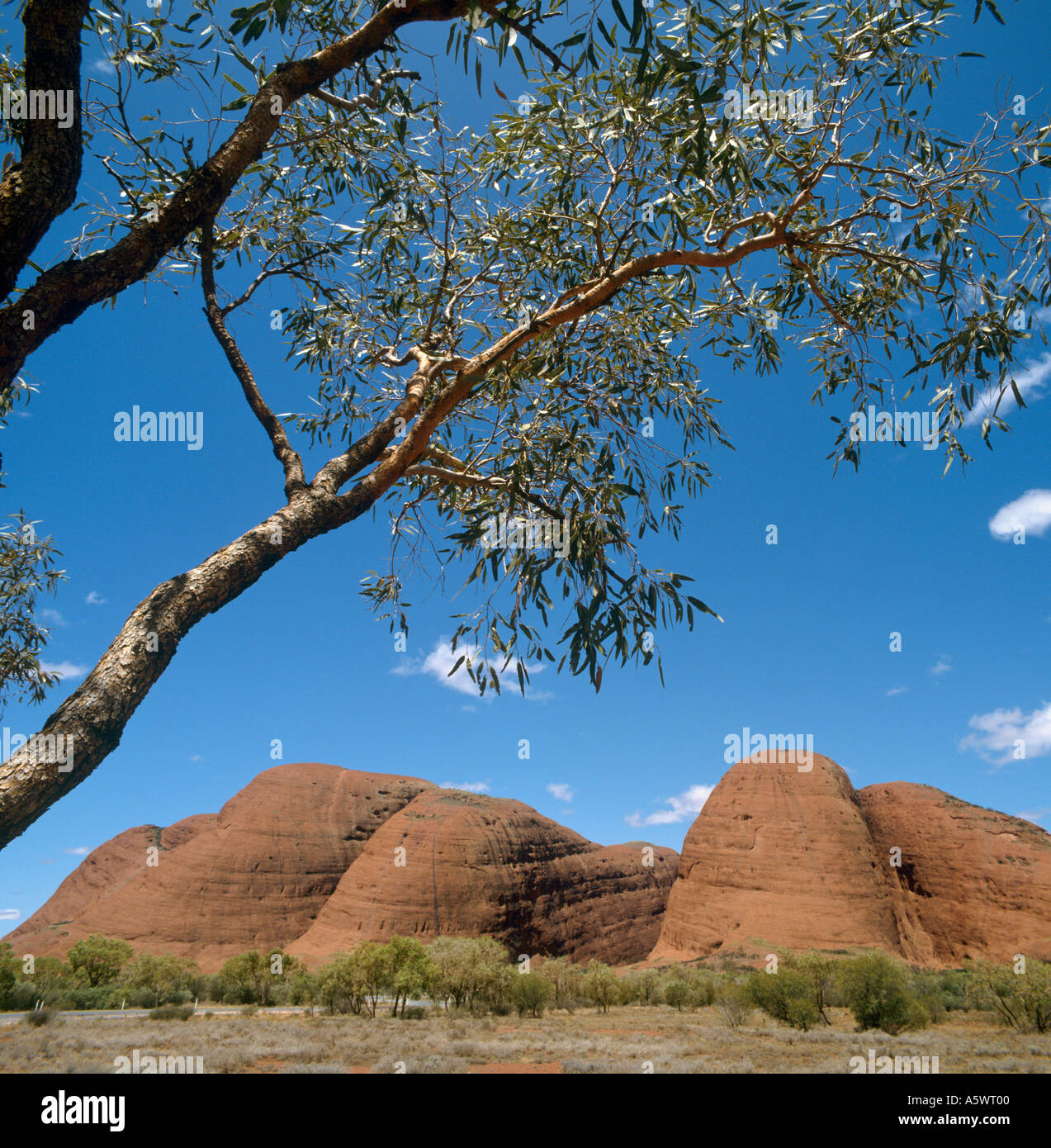 Monte Olga, Las Olgas (Kata Tjuta), Parque nacional Uluru, el Territorio del Norte, Australia Foto de stock