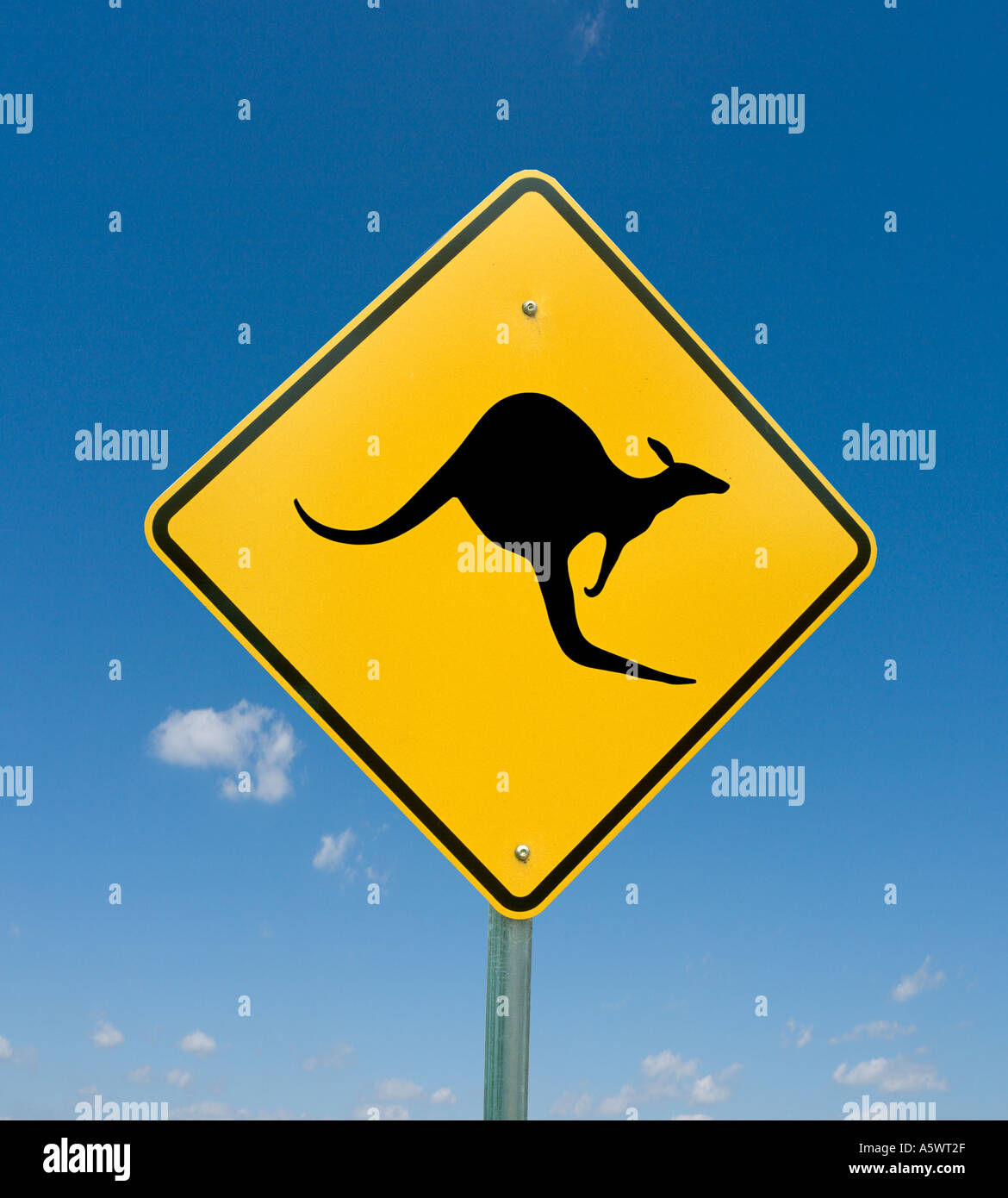 Señal de carretera canguro en una carretera rural en Nueva Gales del Sur, Australia Foto de stock