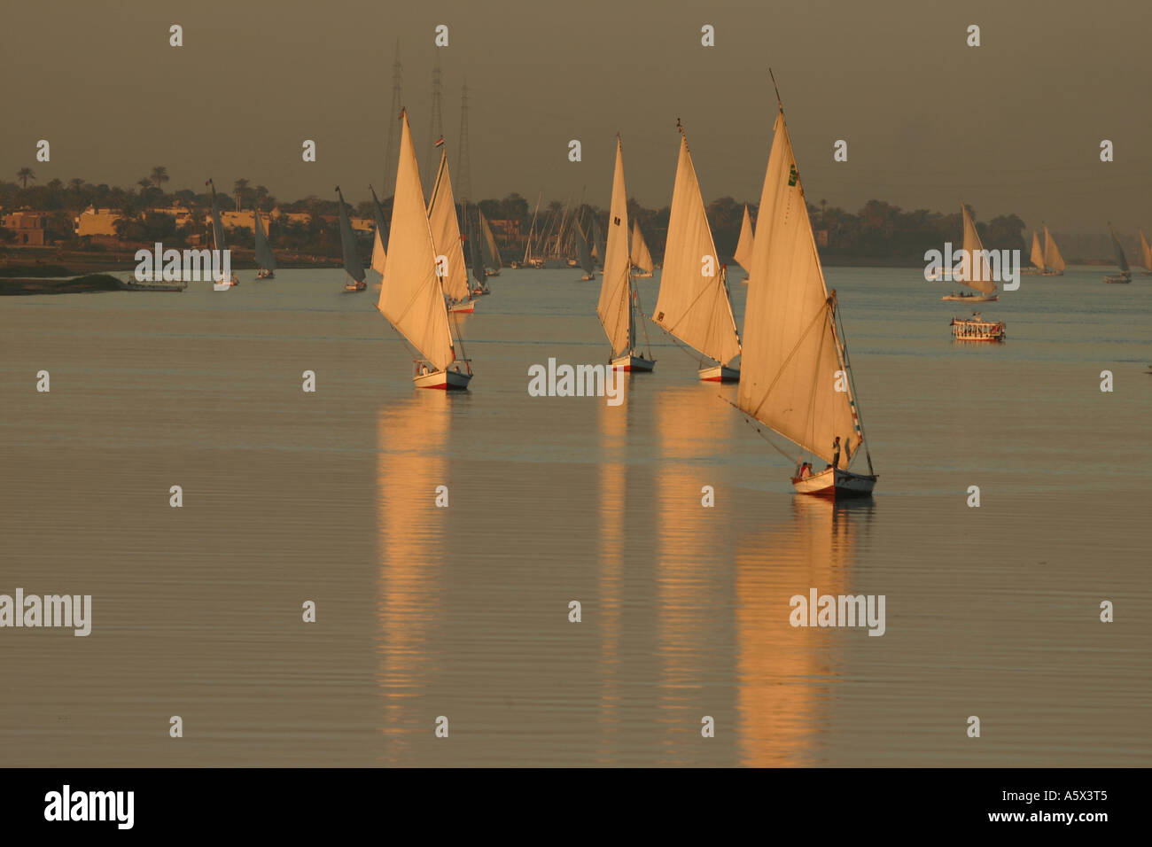 Fellucas navegar en formación sobre el Nilo. Foto de stock
