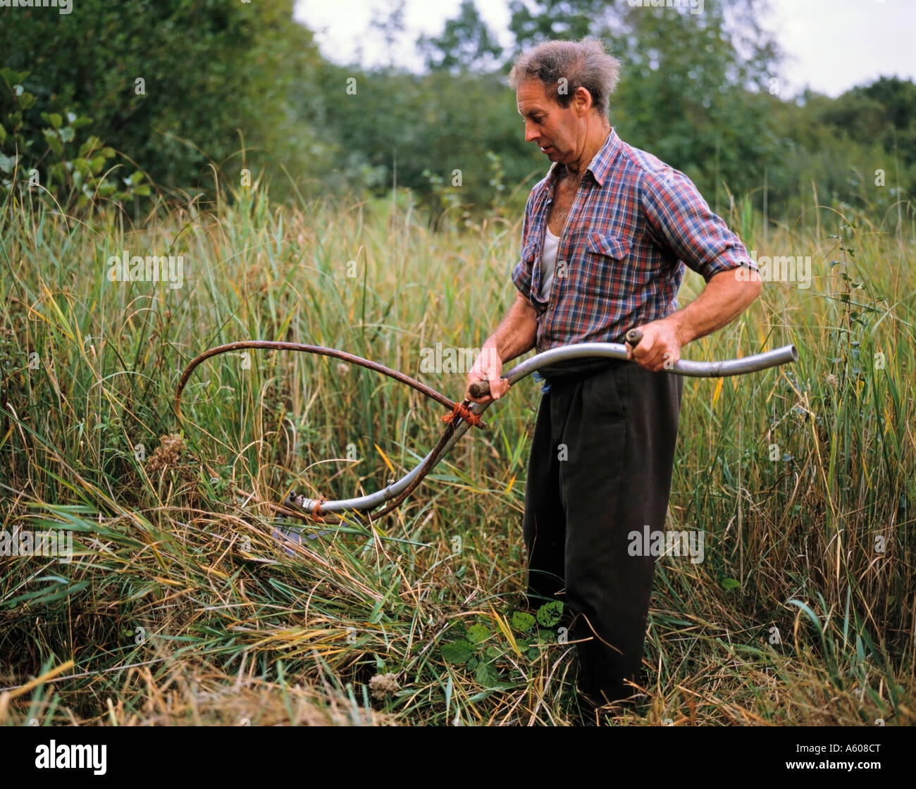 Man cutting grass with scythe fotografías e imágenes de alta resolución -  Alamy