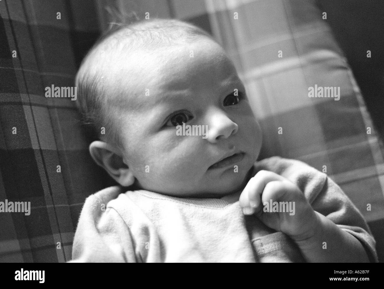 Retrato de cabeza y hombros del bebé Foto de stock