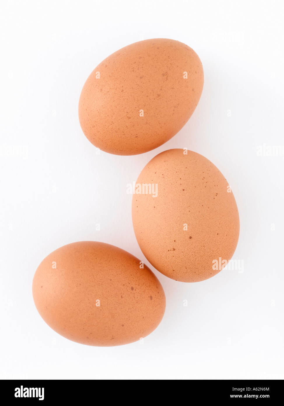 Rodada con huevos de medio formato digital profesional Foto de stock