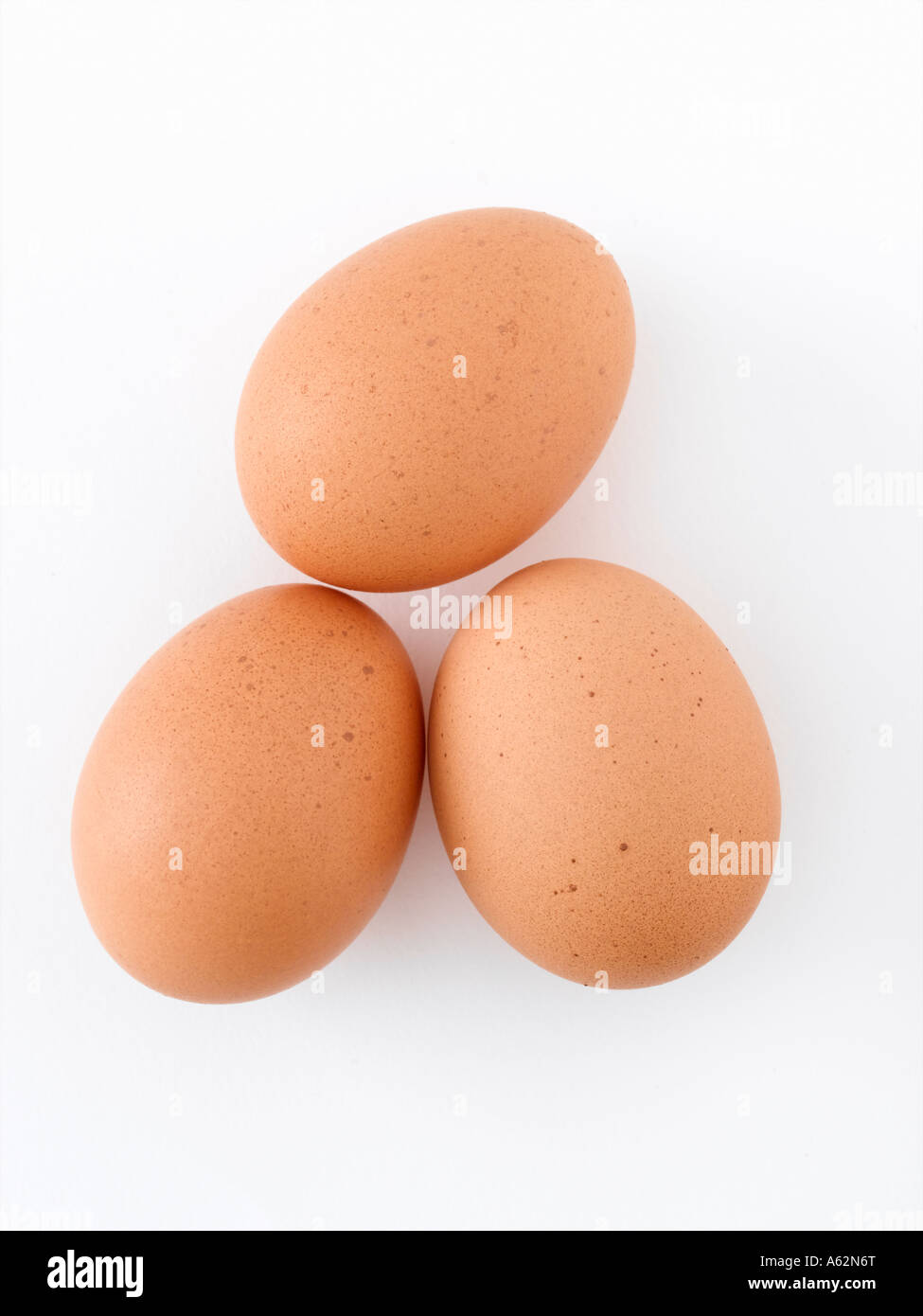 Rodada con huevos de medio formato digital profesional Foto de stock